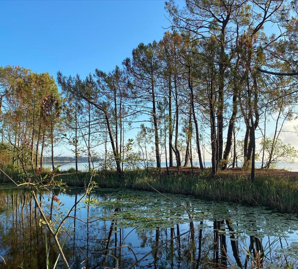 Apt Les Grands Pins, Entre Foret, Lac Et Ocean Carcans Exterior photo