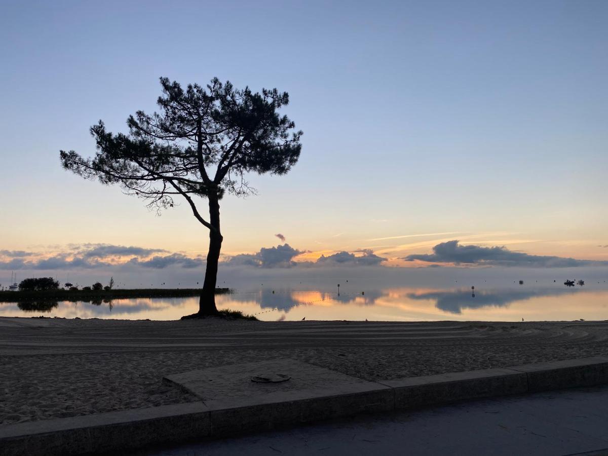 Apt Les Grands Pins, Entre Foret, Lac Et Ocean Carcans Exterior photo