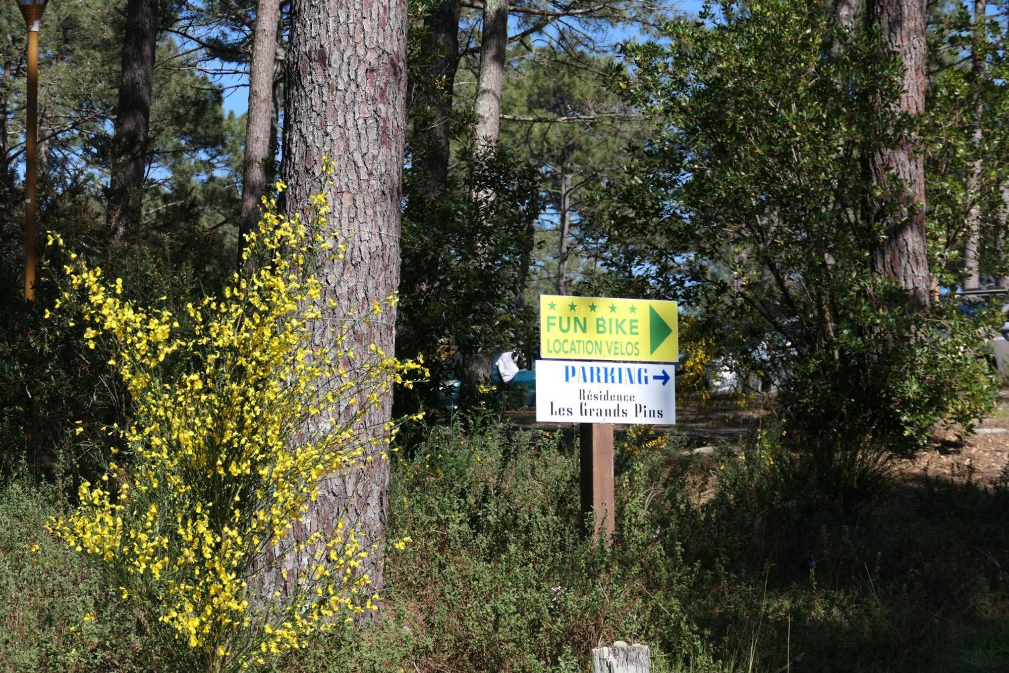 Apt Les Grands Pins, Entre Foret, Lac Et Ocean Carcans Exterior photo